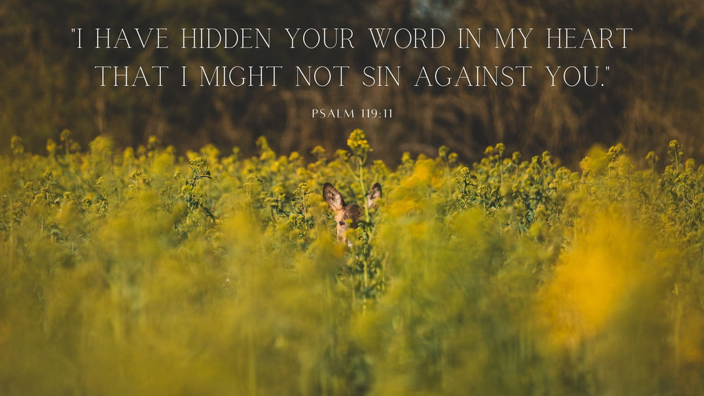 5 Practical Ways to Memorize More Scripture